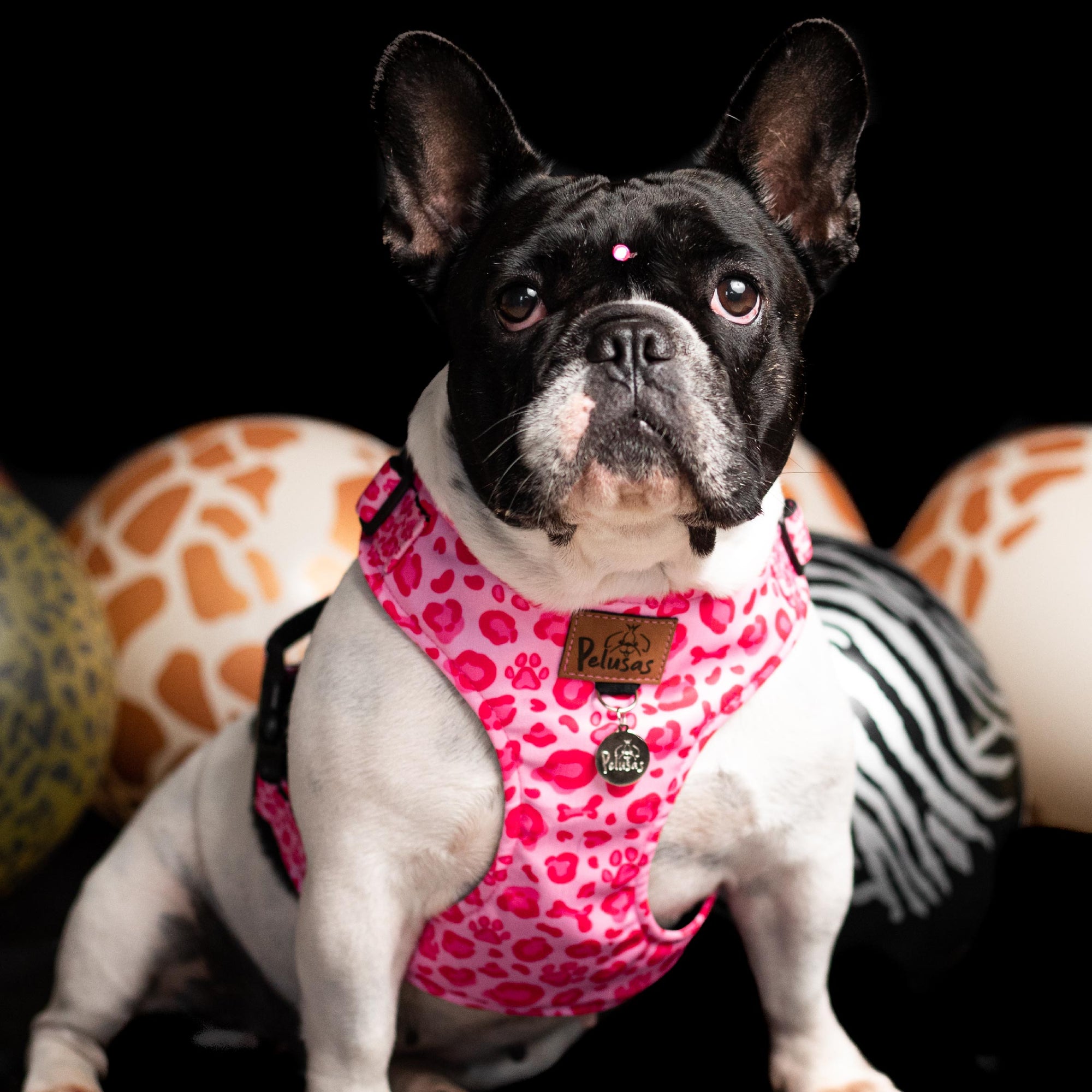 Animal Pink