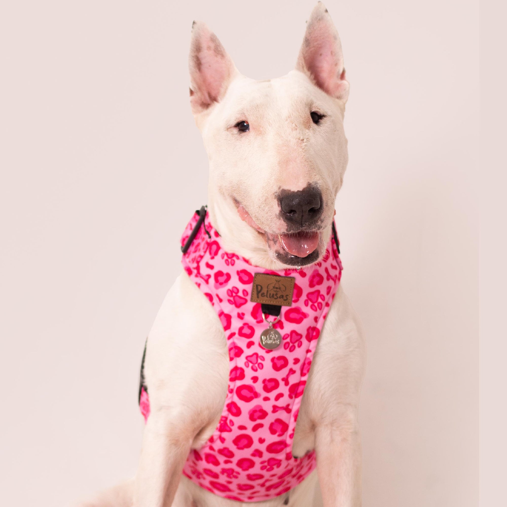 Animal Pink