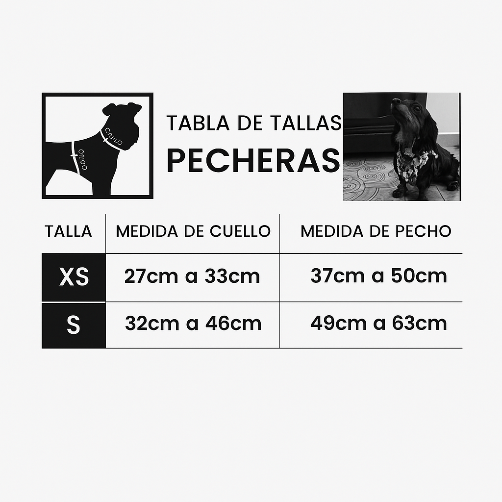 Pechera Teckel (Perros Salchicha)
