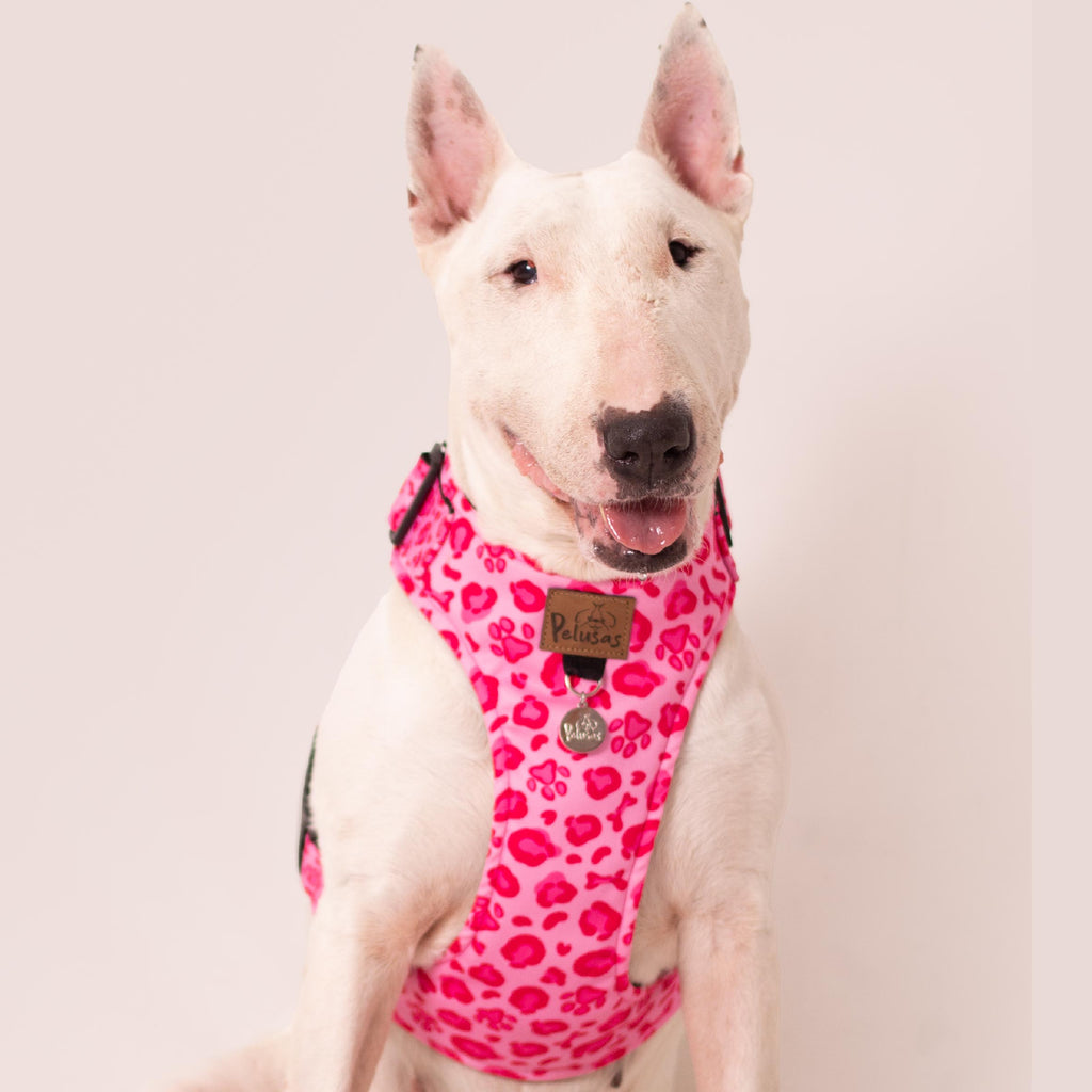 Animal Pink