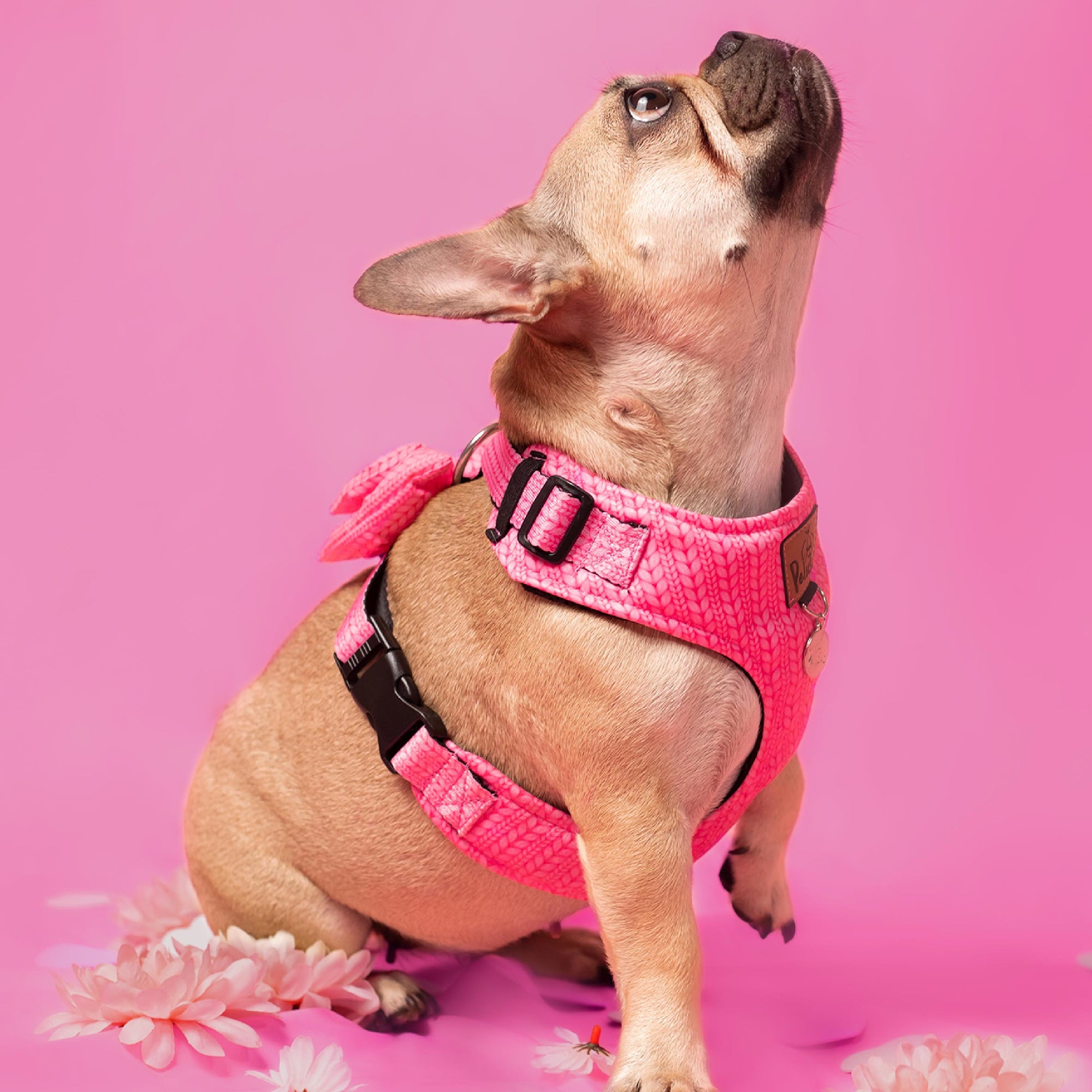 Trenza Rosa