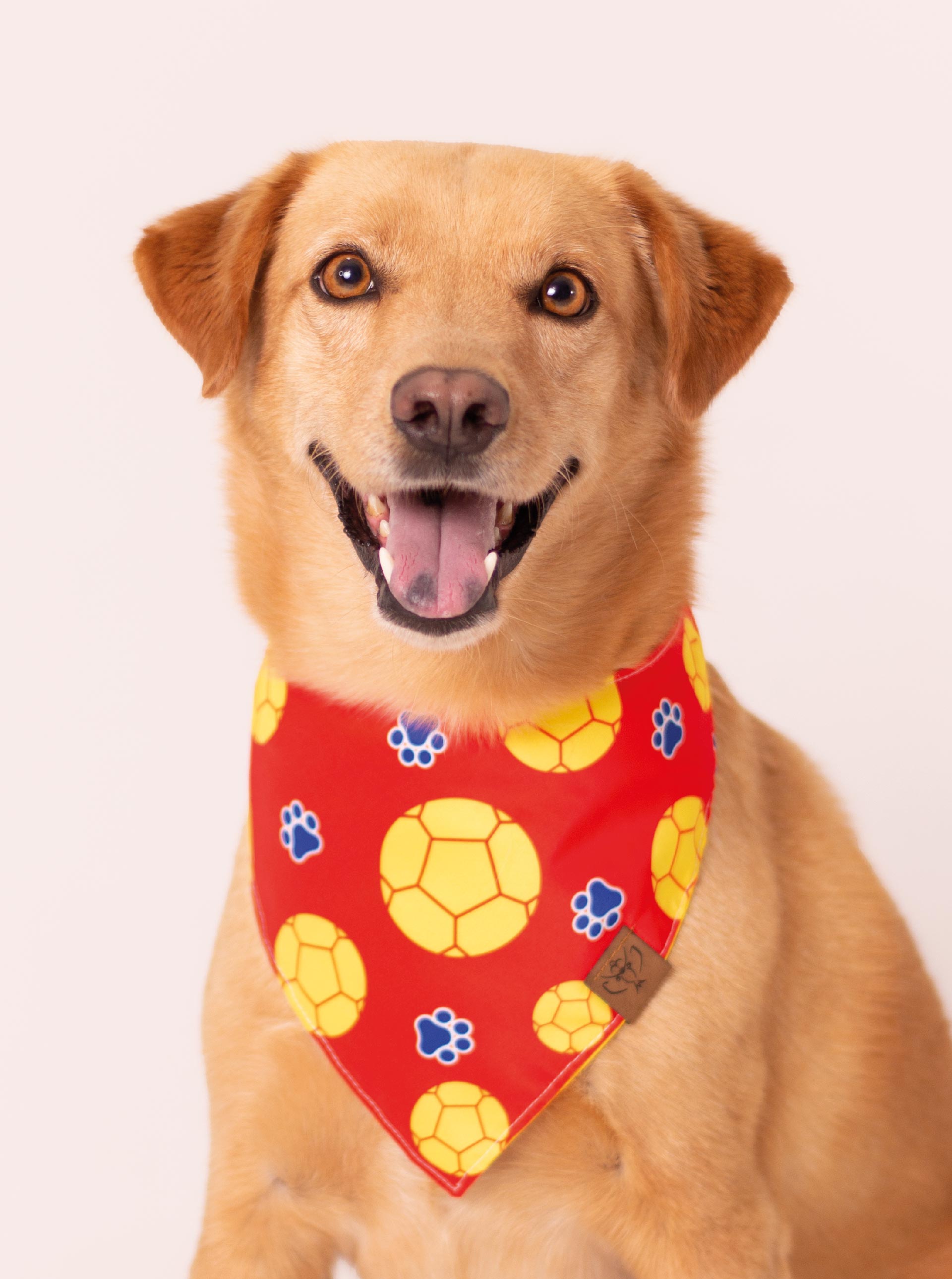 Pañoleta Oficial Selección Colombia