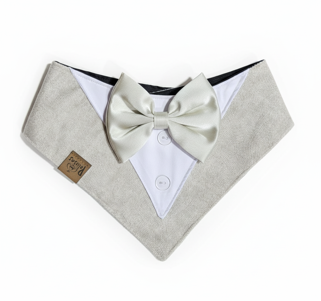 Pañoletas Elegantes 🥂