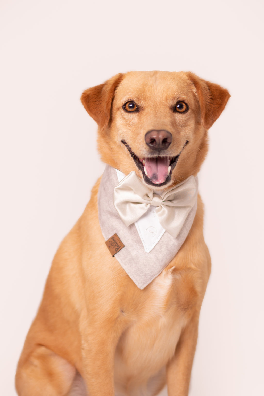 Pañoletas Elegantes 🥂