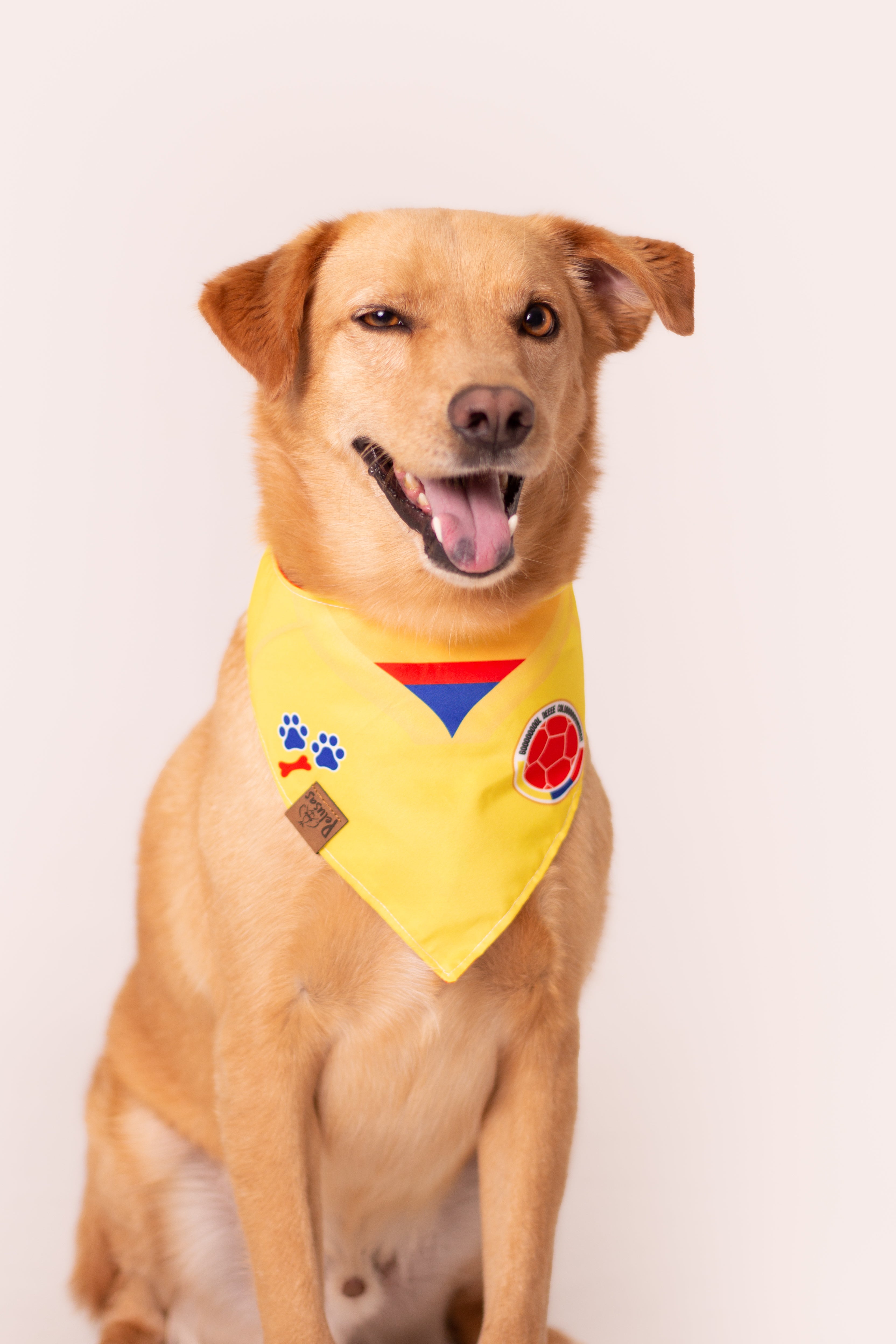 Pañoleta Oficial Selección Colombia