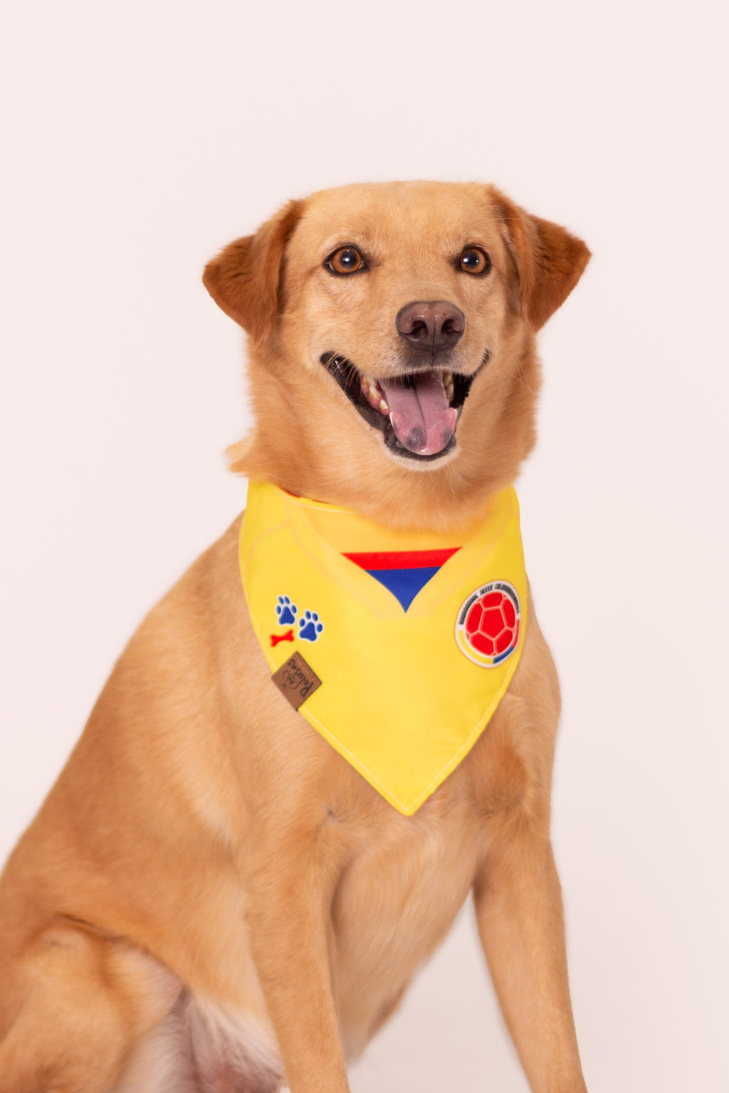 Pañoleta Oficial Selección Colombia