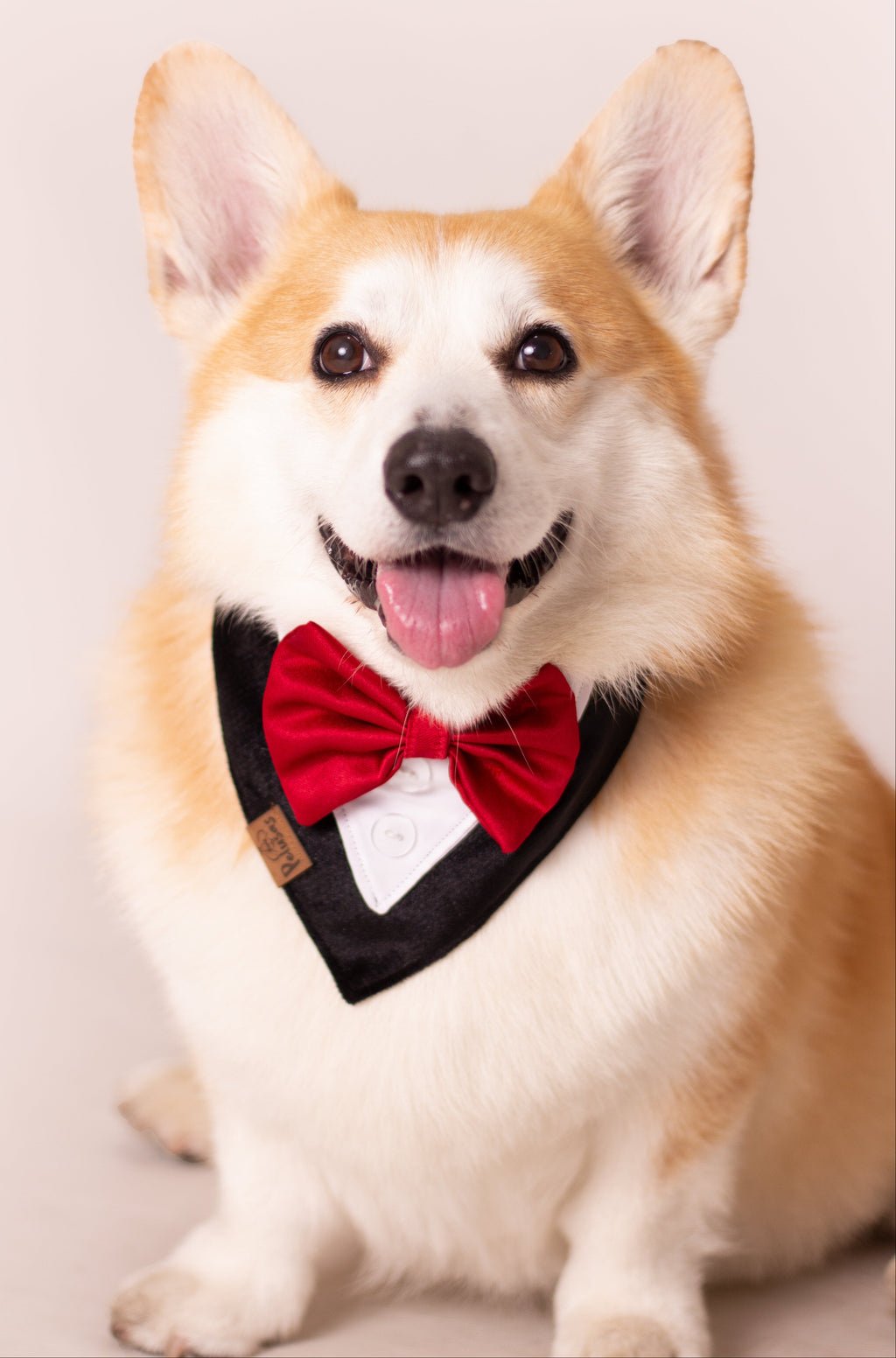 Pañoletas Elegantes 🥂