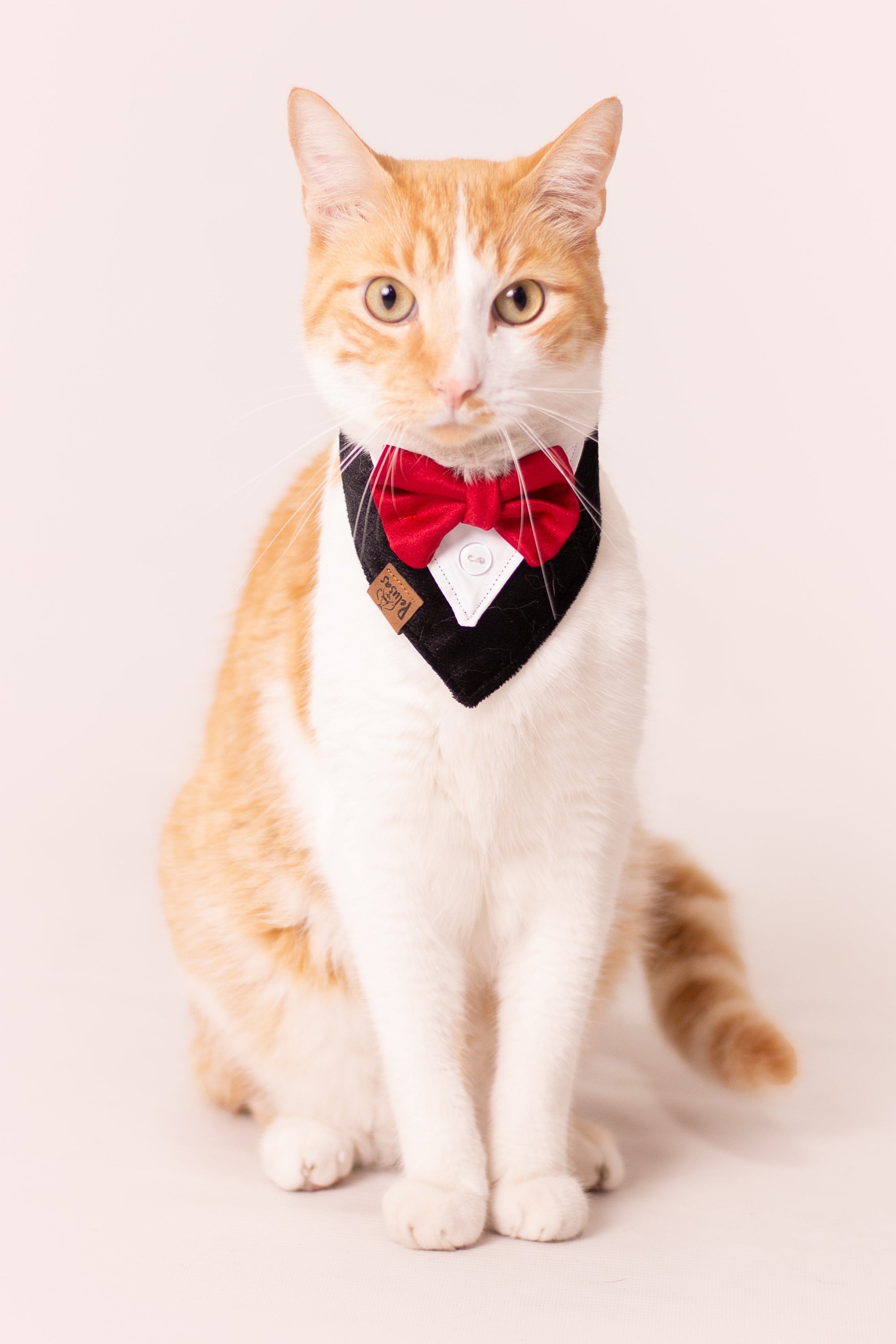 Pañoletas Elegantes 🥂