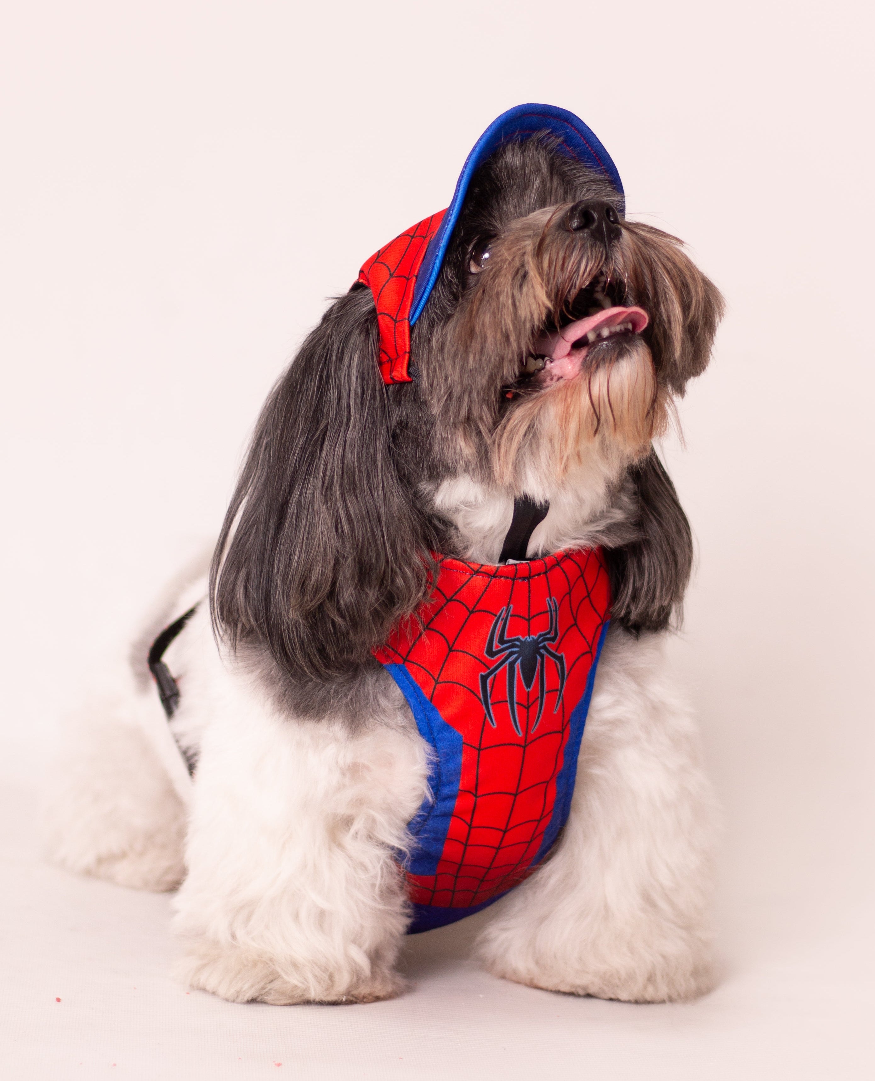 Spiderman 🕸️
