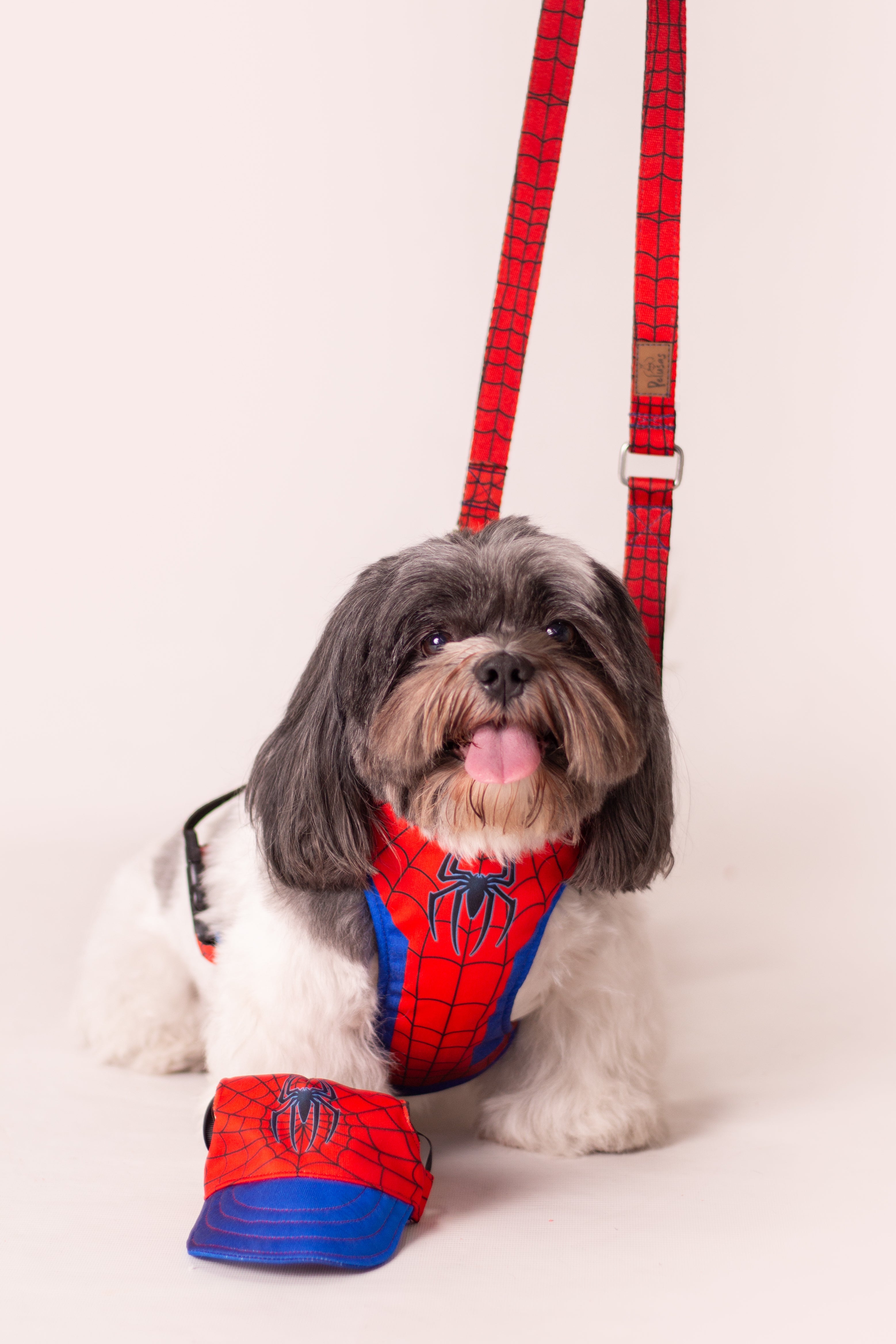 Spiderman 🕸️