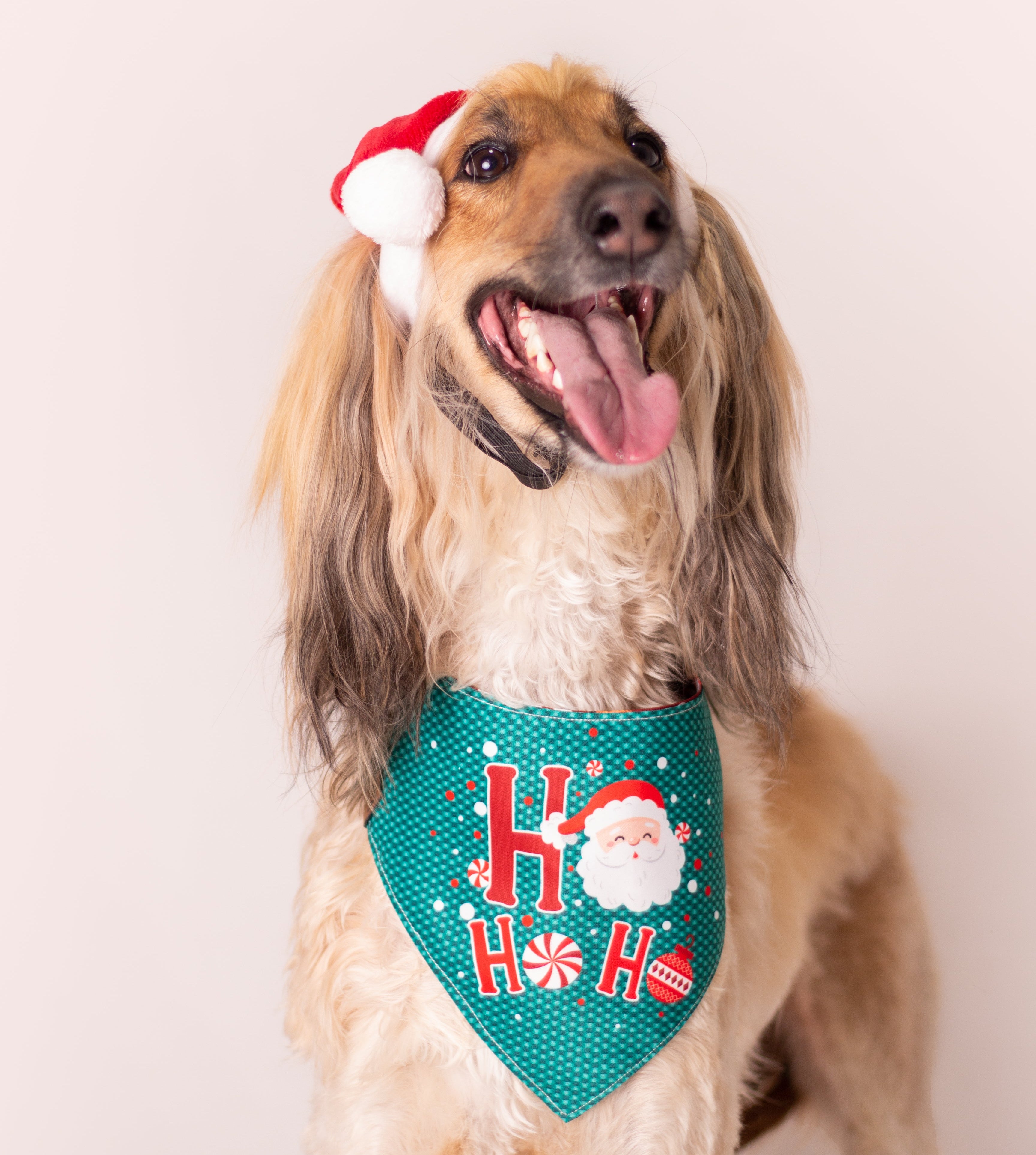 Pañoleta HoHoHo