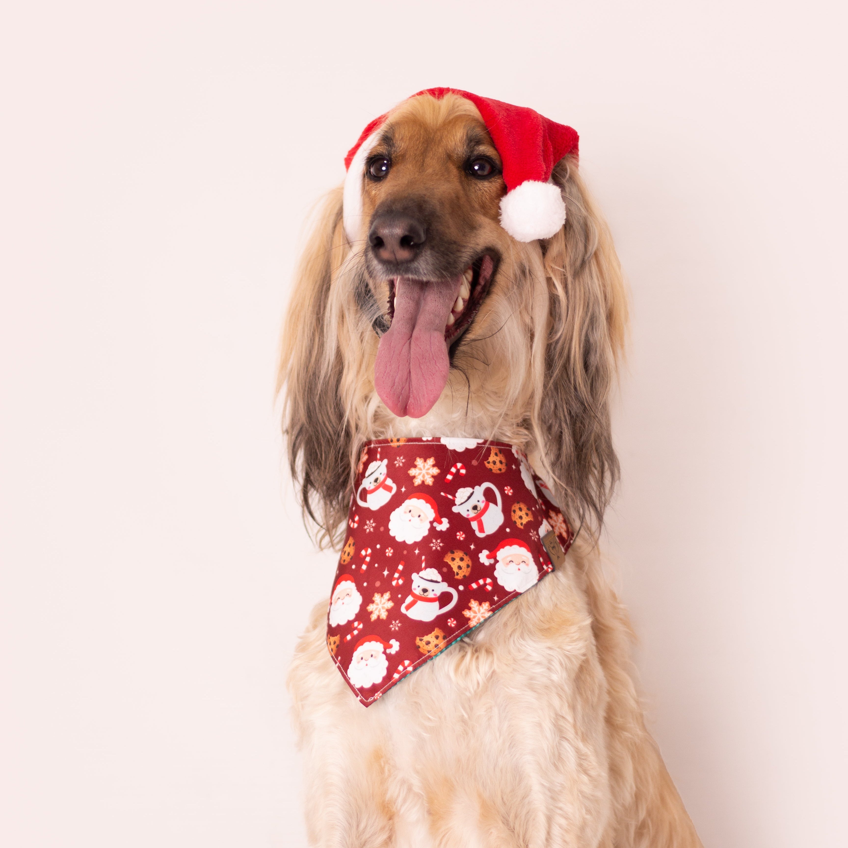 Pañoleta HoHoHo