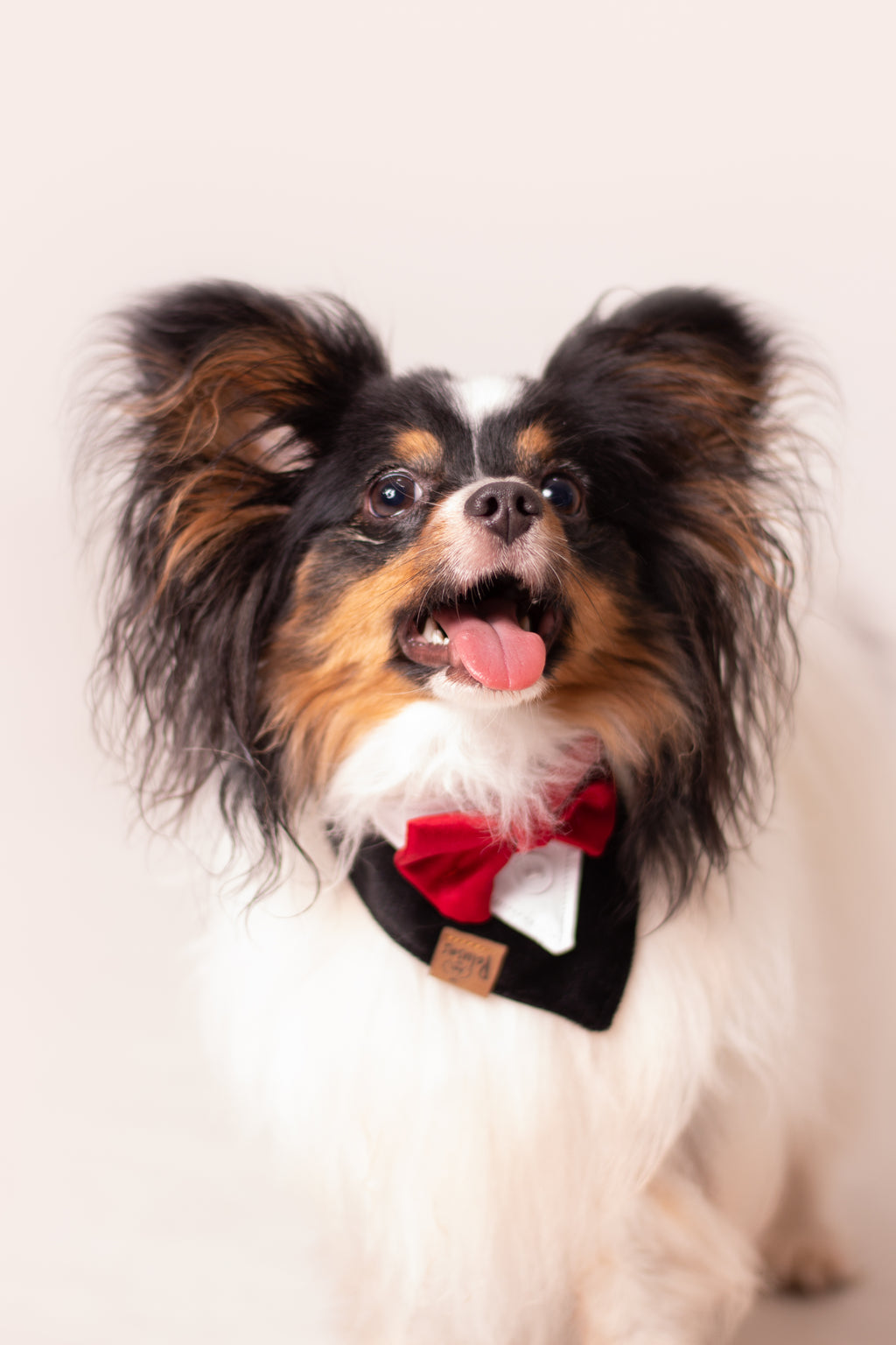 Pañoletas Elegantes 🥂