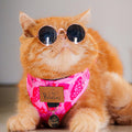 Pechera Gato