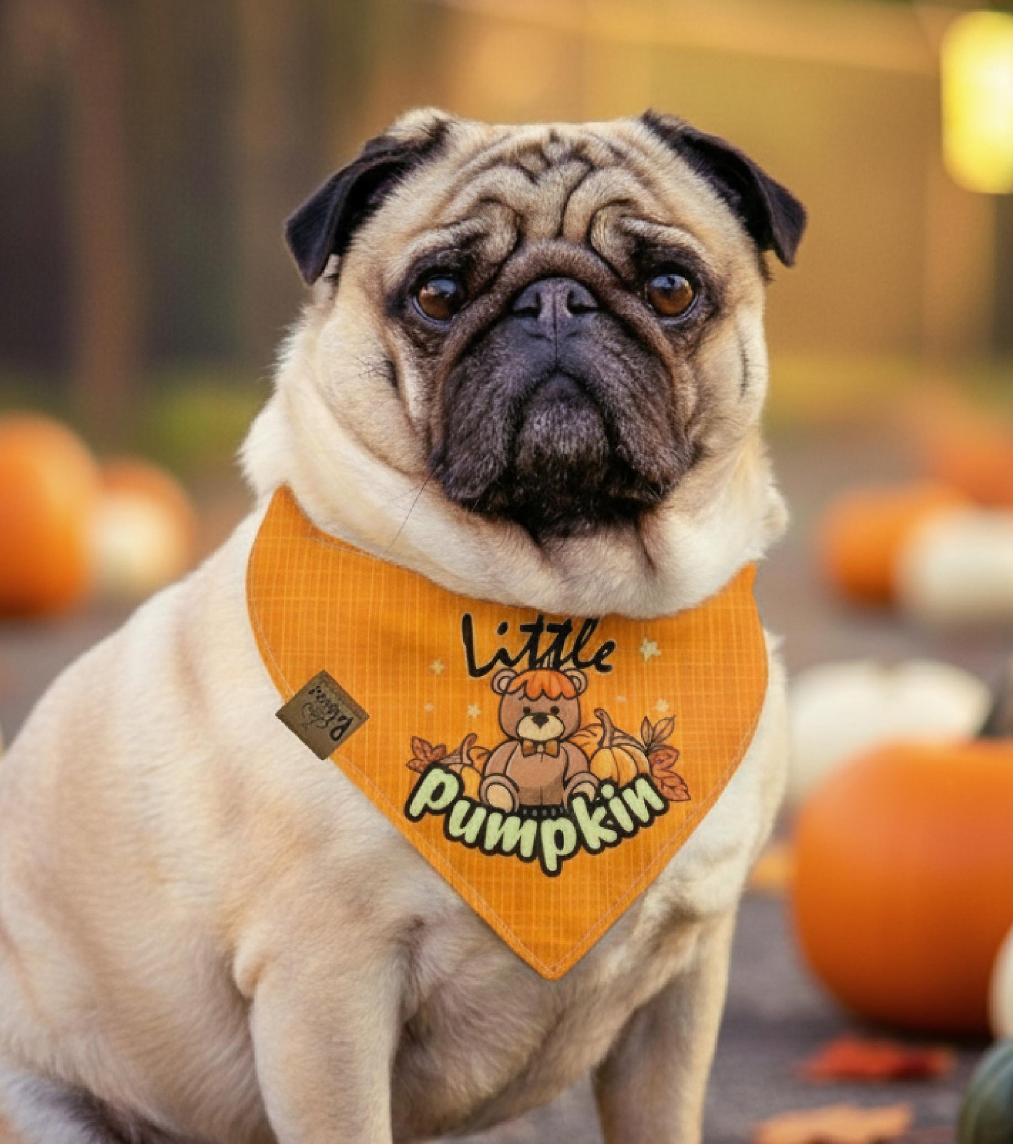 Pañoleta Little Pumpkin 🧡🧸